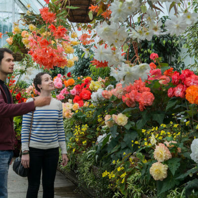 Glasshouse