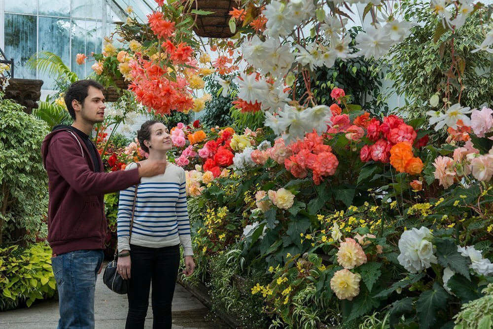 Glasshouse