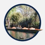 punting