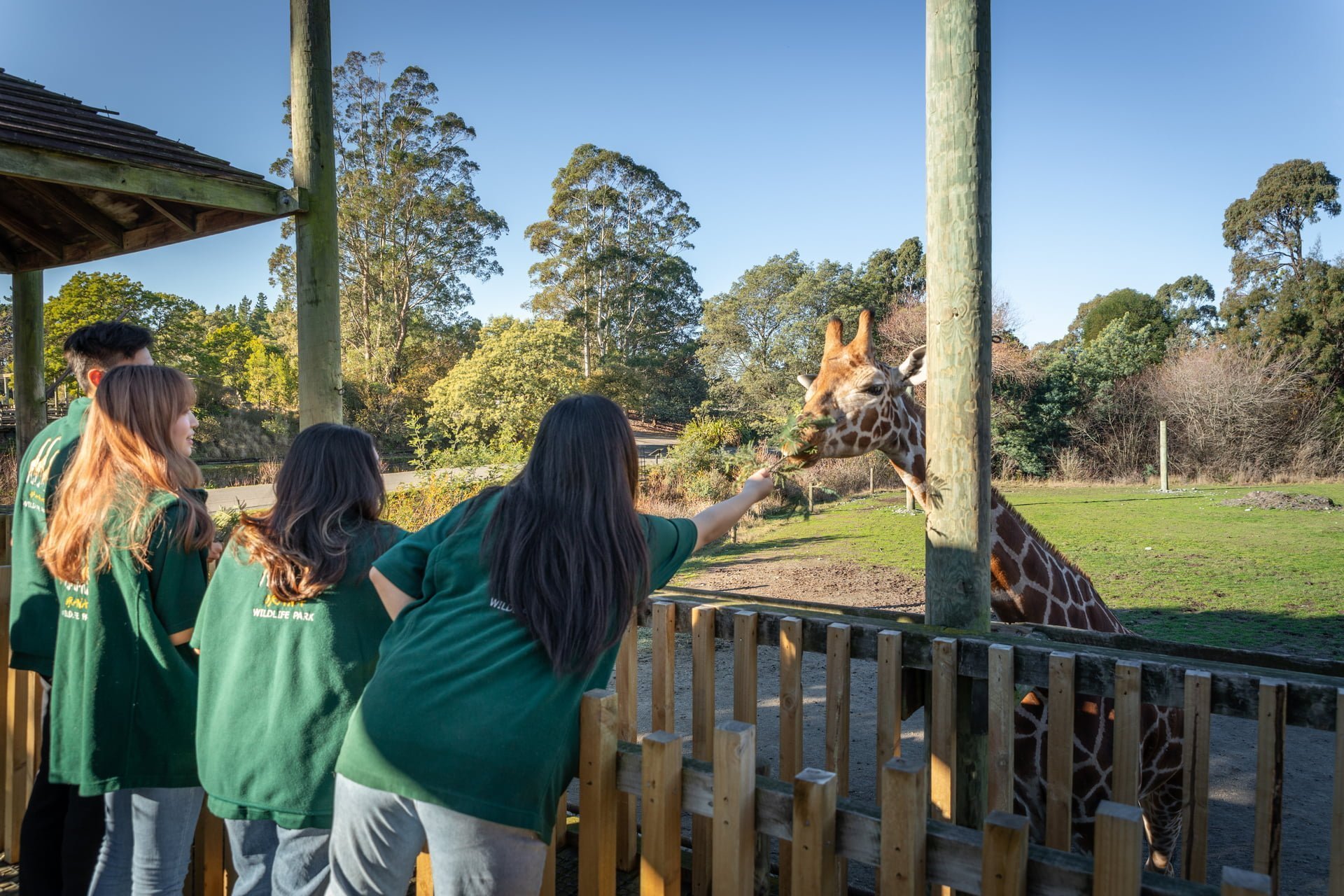 131374-bekiwi-students-at-orana-park-web-1920px bekiwi-students-at-orana-park