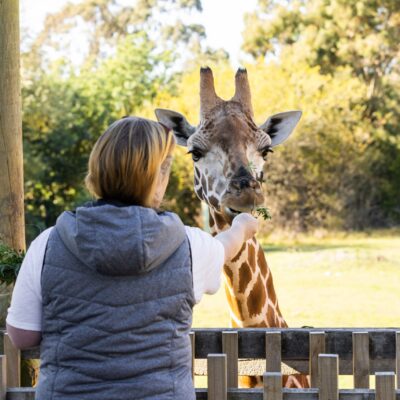 317021-orana-wildlife-park
