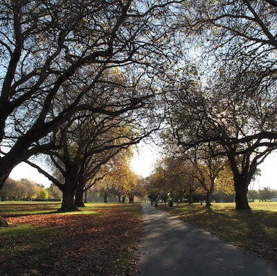 Hagley-Park-Flicckr-profernity-