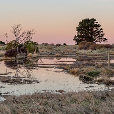 Southshore_Spit_Reserve,_Christchurch,_New_Zealand