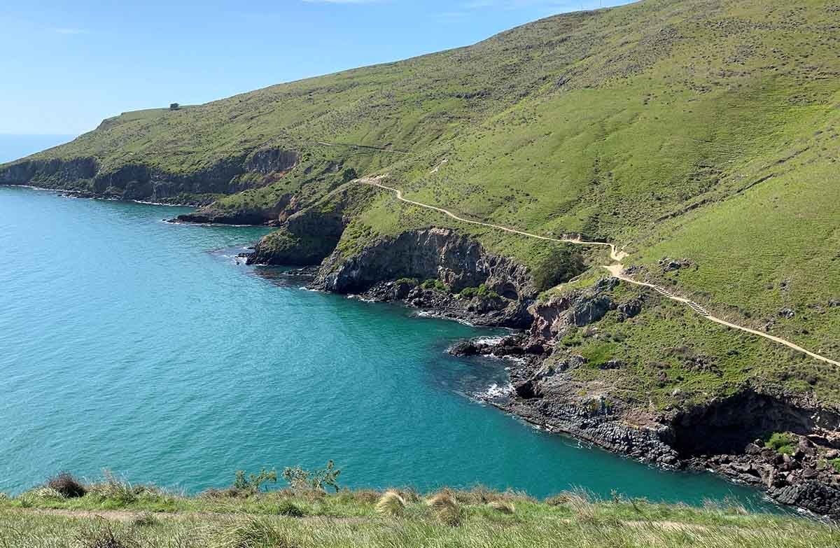 awaroa-godley-head-track-view-gallery
