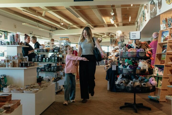 christchurch gondola gift shop